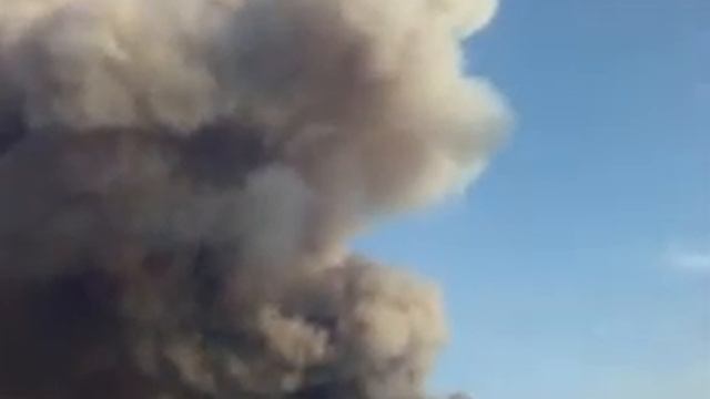 Тольятти Засуха лесные пожары смотреть онлайн