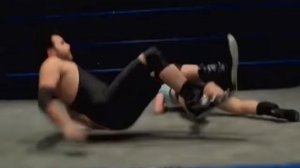 Hard Hitting Intergender Pro Wrestling 20