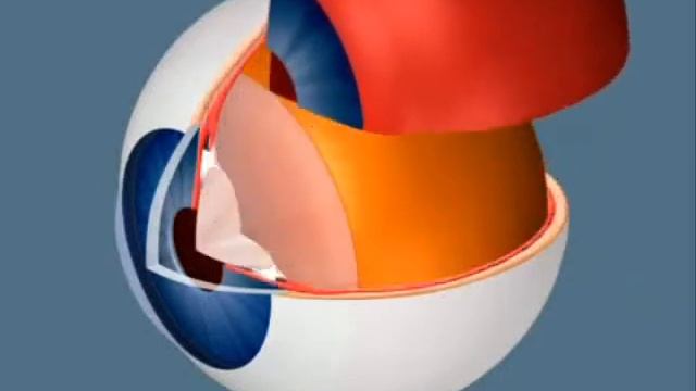 Строение и работа зрительного анализатора человека смотреть онлайн