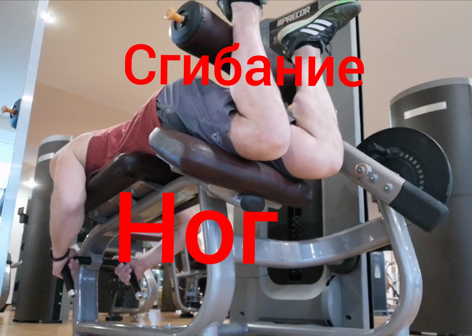 Сгибание ног в тренажёре лёжа смотреть онлайн