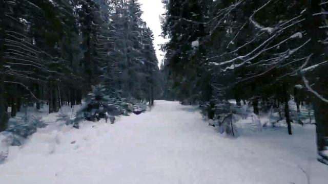 Зимний лес - FPV видео смотреть онлайн