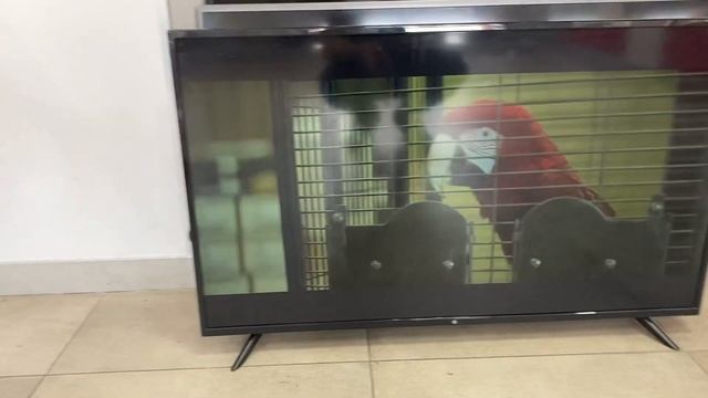 Телевизор dexp смотреть онлайн