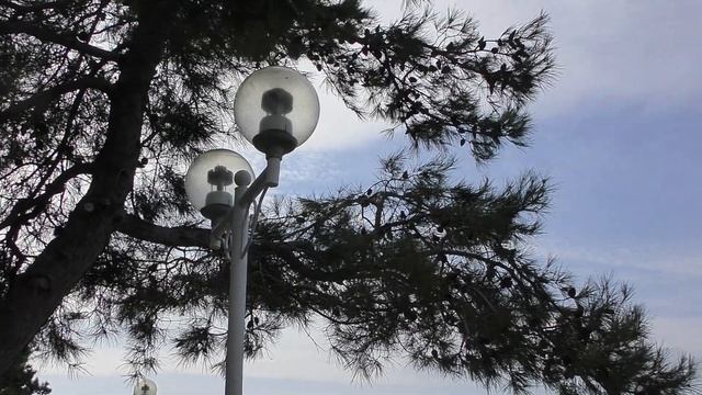 МОИ РАЗМЫШЛЕНИЯ У МОРЯ...(2) ноябрь 2021 . смотреть онлайн