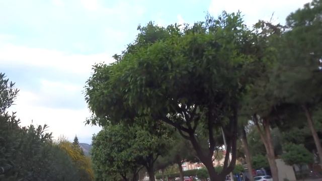 Приехал в Махмутлар Вечер 30 марта смотреть онлайн