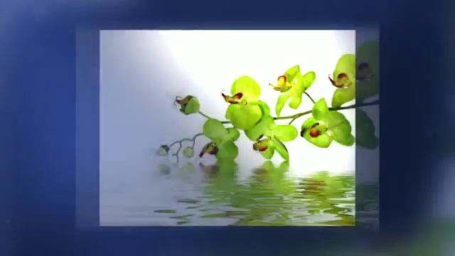 день рождения поздравления мужчине коллеге смотреть онлайн