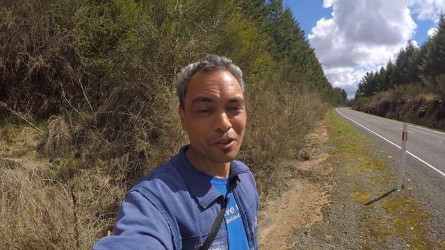 The Kaingaroa Rock Carvings - A Little Known Secret - Ancient New Zealand смотреть онлайн