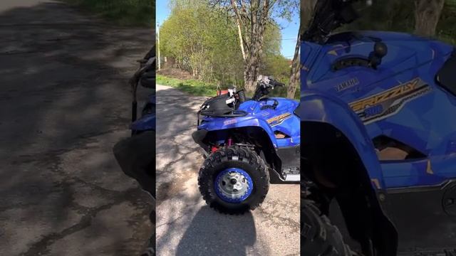 Yamaha Grizzly 700EPS 2019 смотреть онлайн