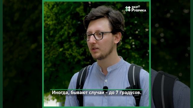 Во Львове создали первый общественный дождевой сад. Это влияет на температуру в городе смотреть онлайн