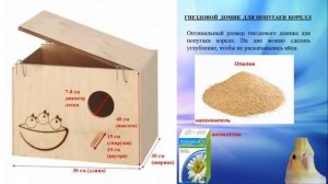 Гнездовой домик для корелл