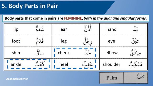 How to recognize Feminine Nouns in Quran - Arabic Grammar Lesson 2 ENGLISH смотреть онлайн