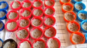 ✅ Проращивание семян томатов и перцев в крышечках на туалетной бумаге