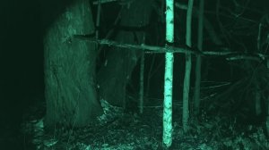 Поставил 2 камеры ночного видения и что получилось заснять!