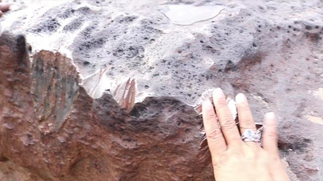 BILLION DOLLAR METEORITE (WORLD'S LARGEST) - GROOTFONTEIN, NAMIBIA ⁄⁄ Planet Michaels Family смотреть онлайн