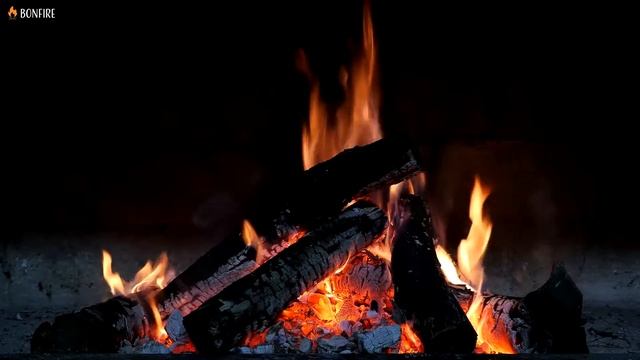 Night Campfire with Dark Background Video - 12 Hours Burning Fire Sounds & Black Screen for Sleep смотреть онлайн