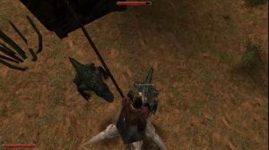 Прохождение Gothic 2 мод  [Жизнь пирата] [#6] Каньон