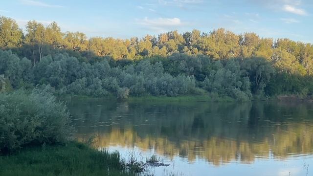 Пляж волна смотреть онлайн