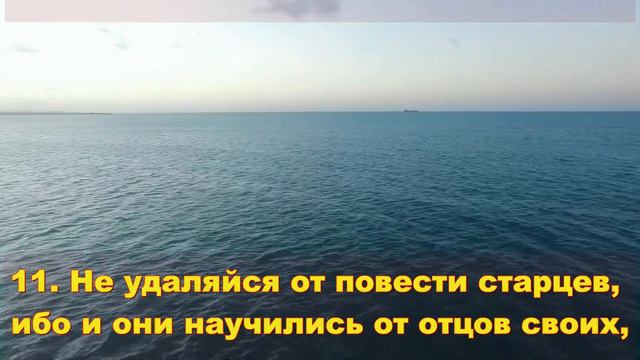 8. Сирах смотреть онлайн