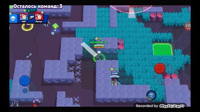 Новые бойцы Поко и Кольт BRAWL STARS #2 смотреть онлайн