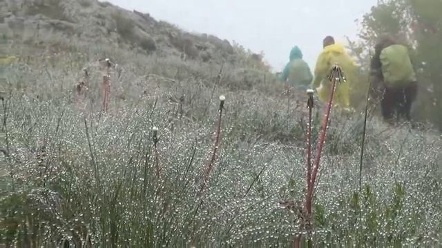 Туристические песни. Песни у костра. Вальс в ритме дождя. смотреть онлайн