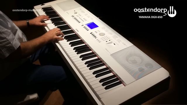 Yamaha DGX 650 Digitale Piano / Keyboard | Sounddemo