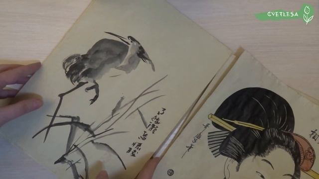 Арт Влог: Осенний пейзаж сухой пастелью | Японские гравюры | Soft Pastels mungyo смотреть онлайн