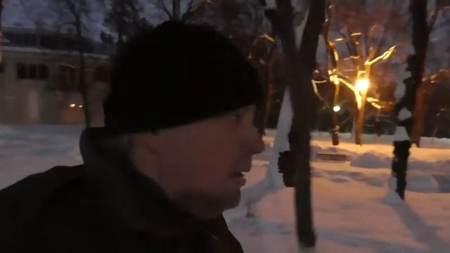 Видео про вечерний парк города, прогуливаясь по парку зимой, друг Геннадий Горин смотреть онлайн