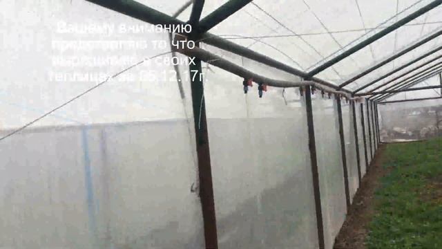 Котем и Кинза Что выращивать зимой в теплице 05 12 17 смотреть онлайн