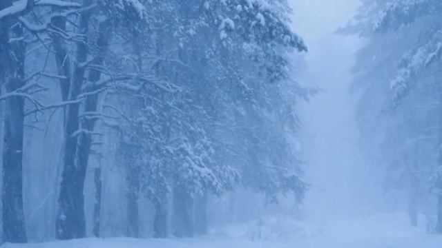 ЗИМНИЙ ВАЛЬС! смотреть онлайн