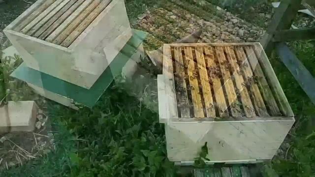 Народный улей Варрэ. Ульи битком. Очередное наращивание смотреть онлайн