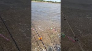 На что лучше рыбачить в ветренную погоду и при волне. Рыбалка на карася или карпа.