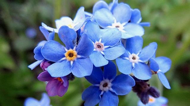 Не печалься! Я с тобою! Христианские стихи о Духе Святом,Пророчества,автор Камаскина Светлана смотреть онлайн