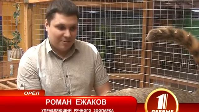 РУЧНОЕ СЧАСТЬЕ смотреть онлайн