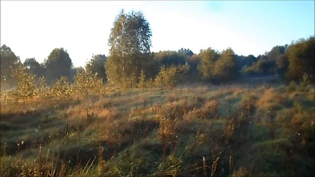 Работа выжловки РПГ по русаку 07 09 2014 смотреть онлайн