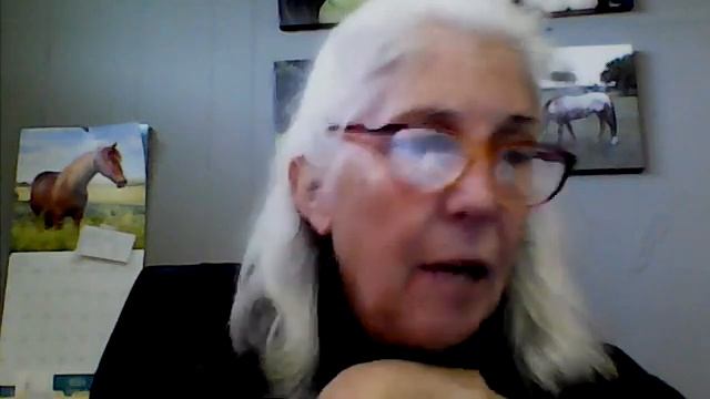 Anne of Green Gables Chapter 15 part 1 A Tempest in the School Teapot смотреть онлайн