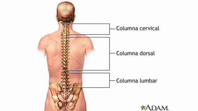 Primer Corte evaluativo Fal (gabriel Ferreyra, comisión tn 4 , prof . florencia) смотреть онлайн