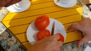 ТОМАТ МОНГОЛЬСКИЙ КАРЛИК. ДЕГУСТАЦИЯ.