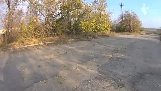 Отпугиватель собак Обзор и принцип работы смотреть онлайн