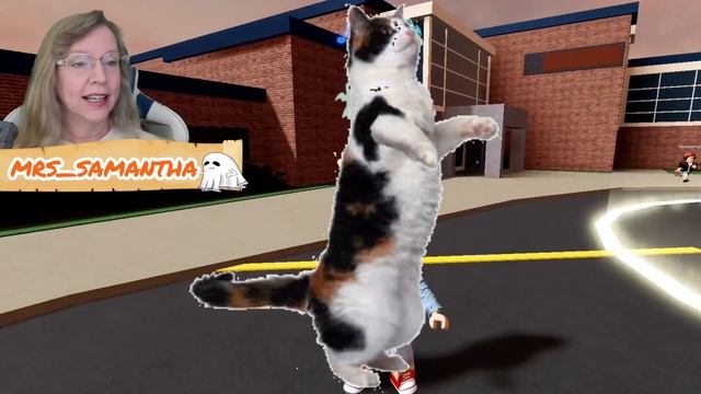 Get Free Roblox Hat Paranormal Party Starter Mrs. Samantha #roblox смотреть онлайн