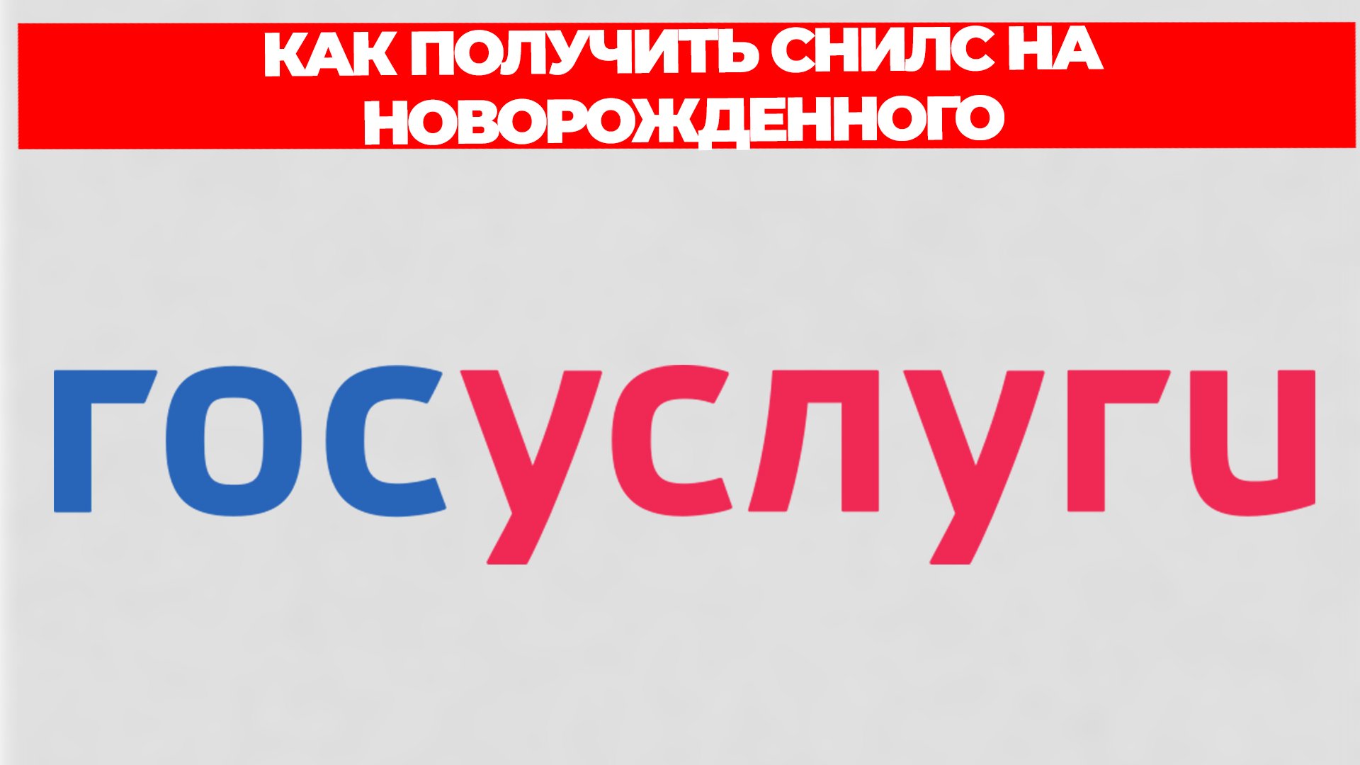 Всезнающий Енот