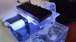 морской аквариум в офисе, морской аквариум 30 литров, нанориф, рыба клоун