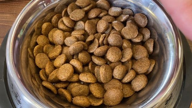 Обзор BROOKSFIELD сухой корм для взрослых собак всех пород (Говядина)