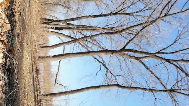 Rizee 125 смотреть онлайн