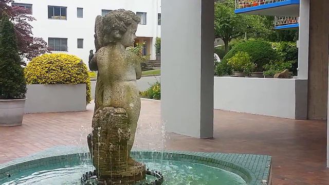 Колибри купается в фонтане. смотреть онлайн