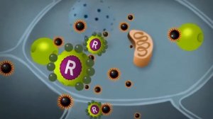 Mind Master (Майнд Мастер) - эффективная защита нервной системы и борьба со стрессом