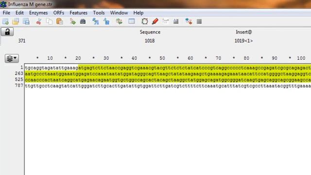 Tutorial 7: How to use ApE (Free DNA editing program) Part 2 [ORFs and Features] смотреть онлайн