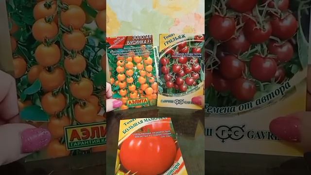 Ранние томаты с хорошим вкусом) смотреть онлайн