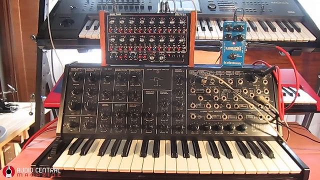 KORG MS20 & Doepfer Dark Time Sequencer