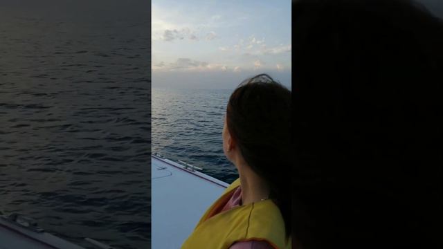 Анапа. Золотая бухта. смотреть онлайн