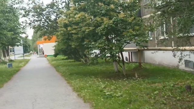 Гуляем в поселке/Наши цветы и огород. смотреть онлайн