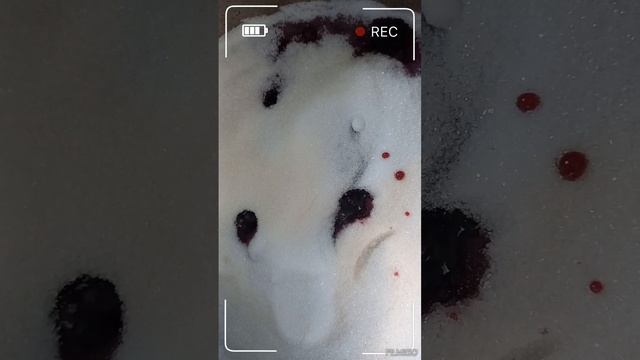 Швидке варення з чорниці....цілі ягоди...чорниця?15хв і готово.... смотреть онлайн